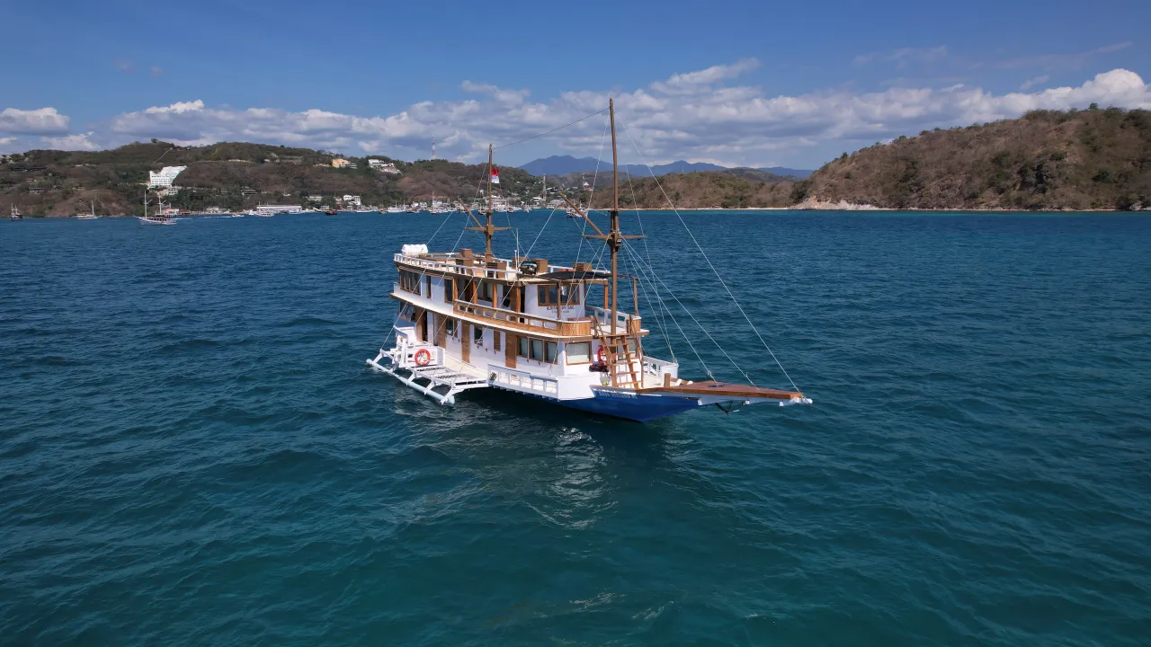Read more about the article DELUXE 32