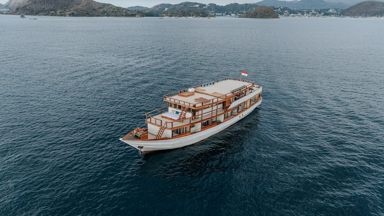 Read more about the article DELUXE 33