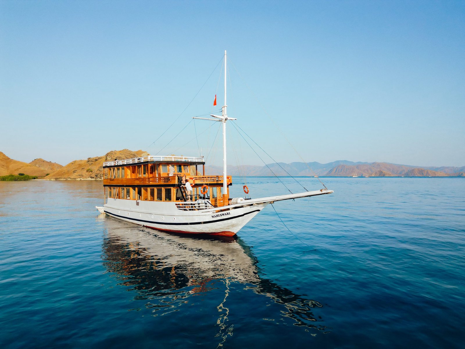 Read more about the article DELUXE 31