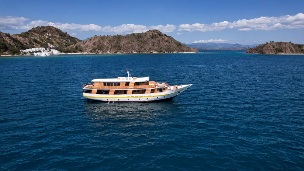 Read more about the article LUXURY 31