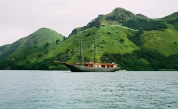 Angelica-Exterior