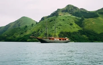 Angelica-Exterior