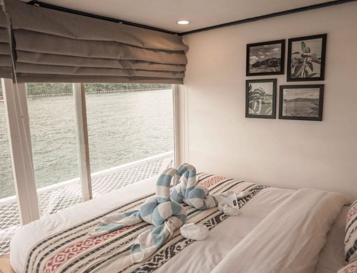 platinum-vii-new (6)