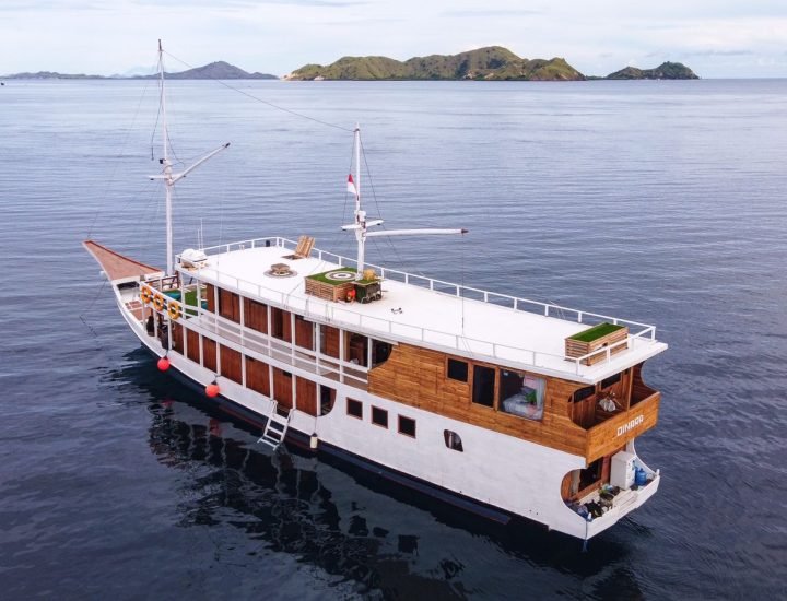standard-x (23)
